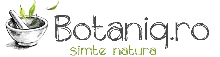 botaniq.ro logo
